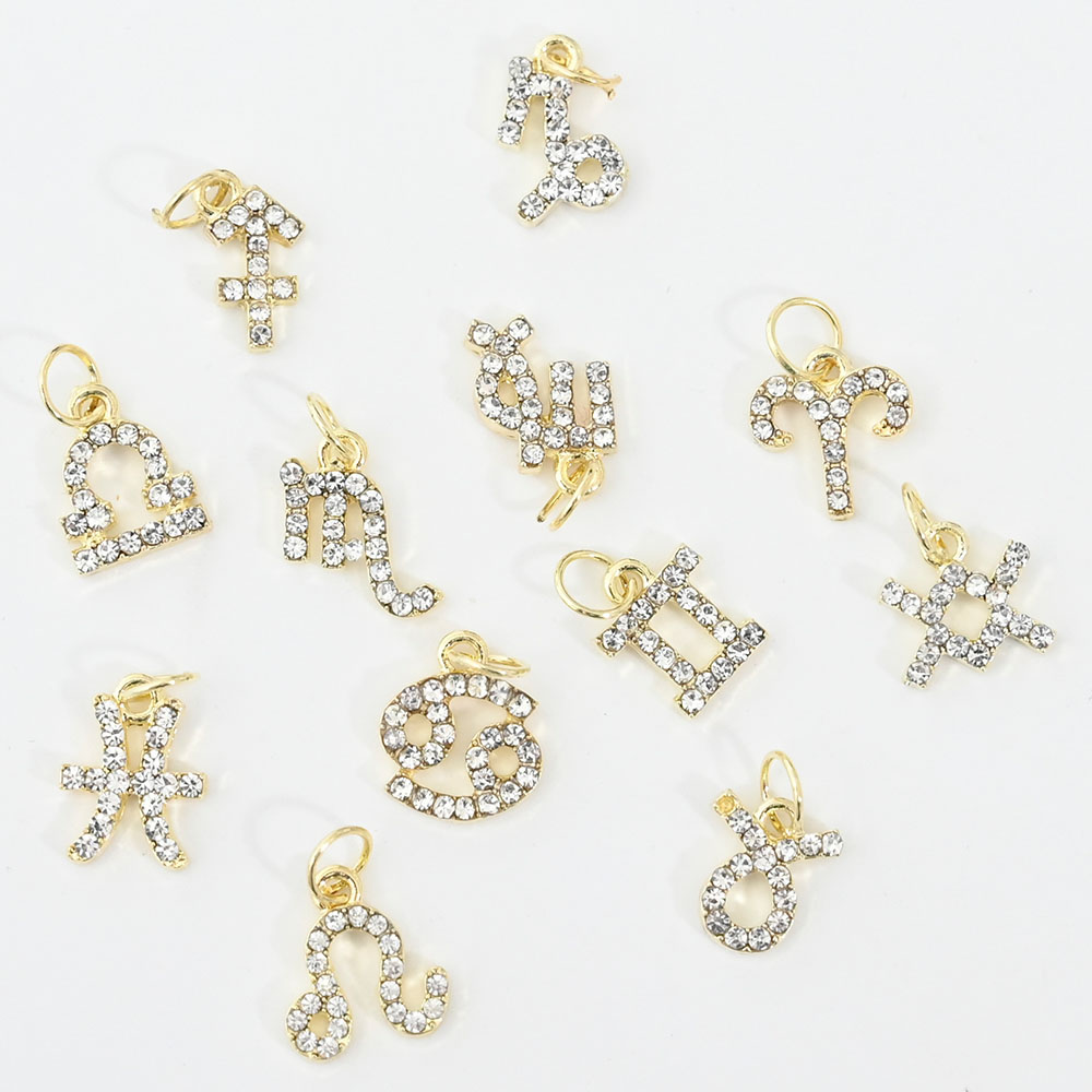 10Pcs 12 Constellation Dangle  - Nail Art Xs 评论和价格